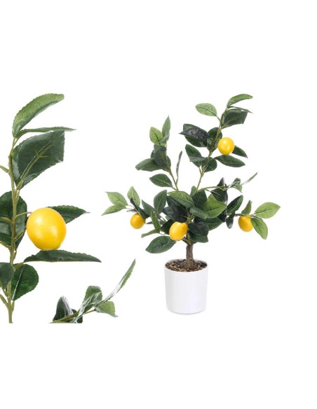 PLANTA LIMONERO 58CM