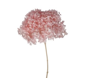 HYDRANGEA CABEZA PRESS ROSA (B40)