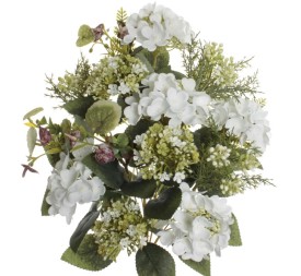 ENCARADO EXOTICO HORTENSIA BLANCO