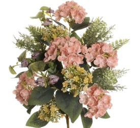 ENCARADO EXOTICO HORTENSIA SALMÓN