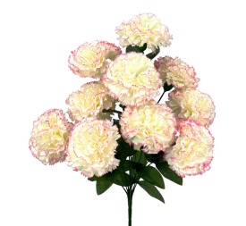 R. CLAVEL X10 M.TERCIOP. CREM/ROSA 45cm