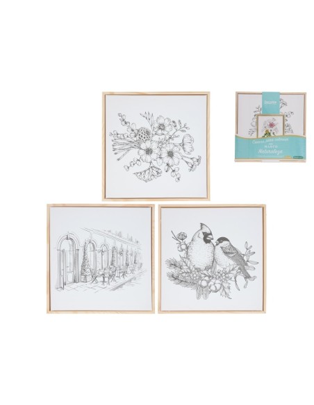 CANVAS C/MARCO MDR COLOREA NATURALEZA 30X30 3 SURT