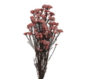 FLOR DE ARROZ PRESS 60 cms ROJO CLARO (54)