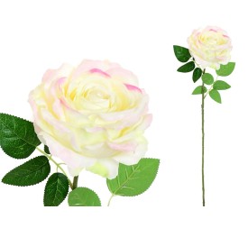 VARA ROSA CAROLINA  -67 CM (CREMA)