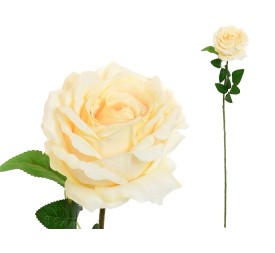 VARA ROSA CAROLINA  -67 CM (BEIG)