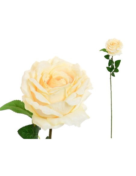 VARA ROSA CAROLINA  -67 CM (BEIG)