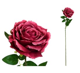 VARA ROSA CAROLINA  -67 CM (BURDEOS)