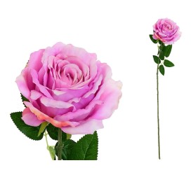 VARA ROSA CAROLINA  -67 CM (VIOLETA)