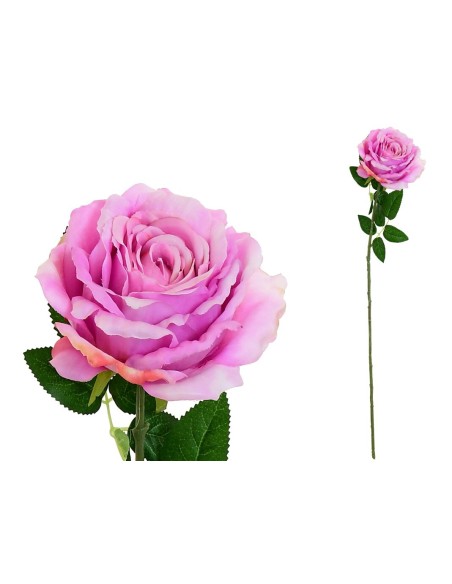 VARA ROSA CAROLINA  -67 CM (VIOLETA)