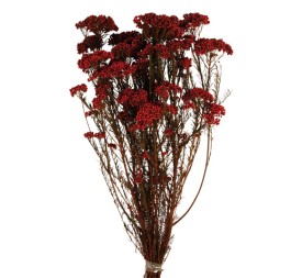 FLOR DE ARROZ PRESS 60 cms. ROJO (59)