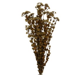 CHUVISCO PRESS 70 cms. NATURAL (01)