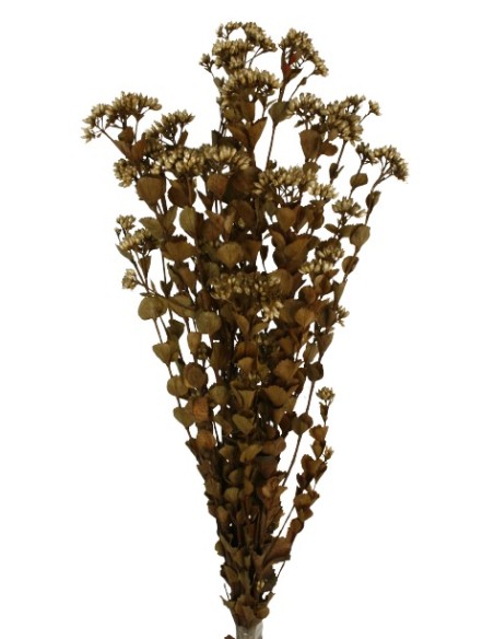 CHUVISCO PRESS 70 cms. NATURAL (01)