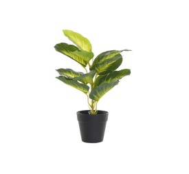 PLANTA PVC PP 25X25X30 DIEFEMBAQUIA VERDE