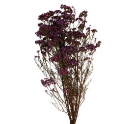 FLOR DE ARROZ PRESS 60 cms. MALVA