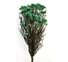 FLOR DE ARROZ PRESS 60 cms. VERDE  ESMERALDA