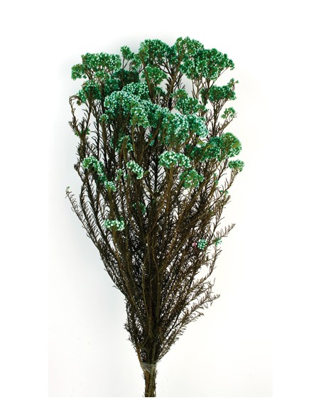 FLOR DE ARROZ PRESS 60 cms. VERDE  ESMERALDA