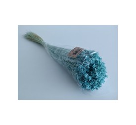 HILL FLOWER 45 cms. AZUL (74)