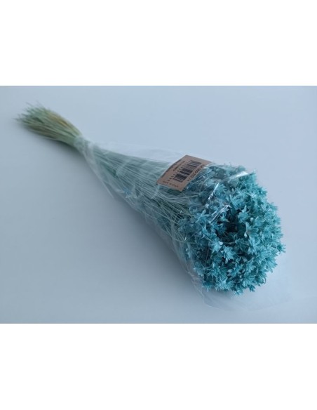 HILL FLOWER 45 cms. AZUL (74)