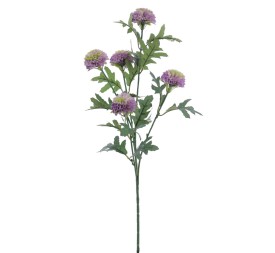 DAHLIA MINI (4831-74)