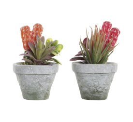 PLANTA PE EVA 16X12,5X19,5 2 SURT.