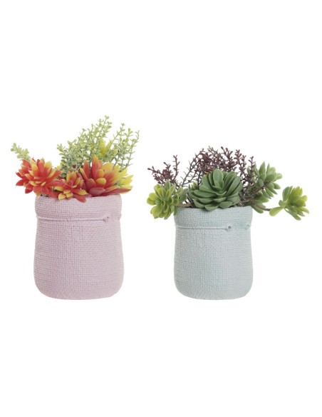 PLANTA PE EVA 18X10X18 2 SURT.