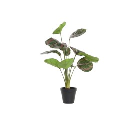 PLANTA PE 30X30X58 VERDE