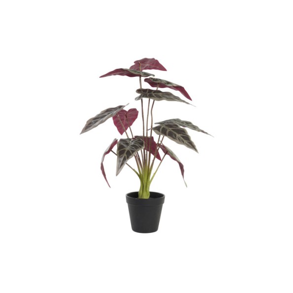 PLANTA PE 20X20X49 VERDE (8582)