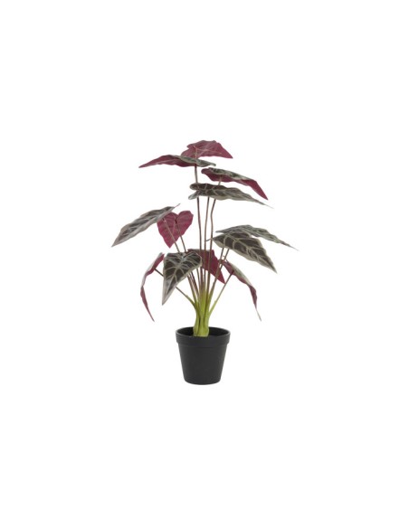 PLANTA PE 20X20X49 VERDE (8582)