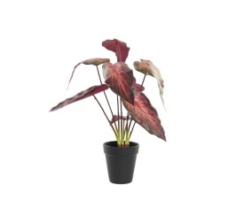 PLANTA PE 20X20X38 ROJO