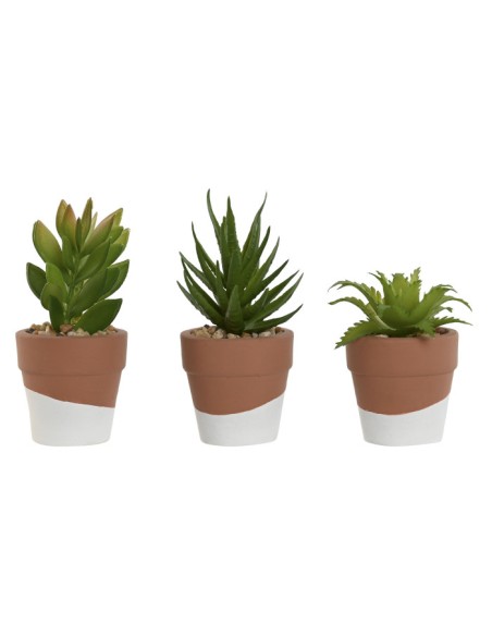 PLANTA CEMENTO PE 5,5X5,5X13 3 SURT. PLANTA CEMENTO PE 5,5X5,5X13 3 SURT.