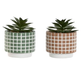 PLANTA CEMENTO PE 8X8X10 2 SURT.