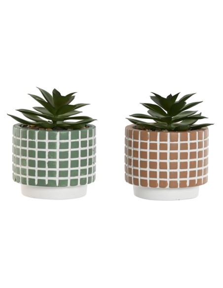 PLANTA CEMENTO PE 8X8X10 2 SURT.