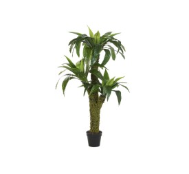 PLANTA PE 60X60X150 HELECHO VERDE