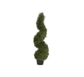 PLANTA PE 40X40X120 CIPRES VERDE