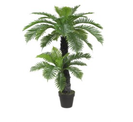 PLANTA EVA PP 80X90X120 PALMERA VERDE