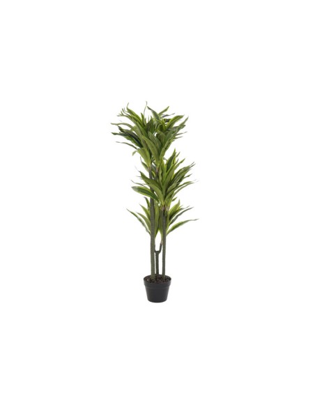 PLANTA PVC 57X59X124 DRACAENA VERDE