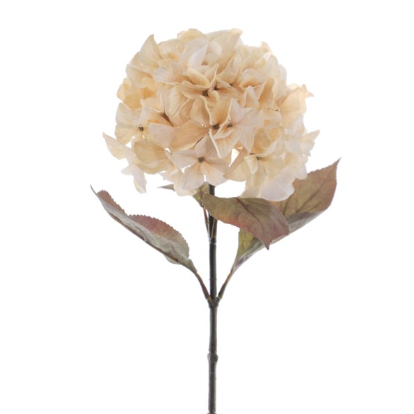 HYDRANGEA RUSTIC 70 CMS  2005-31