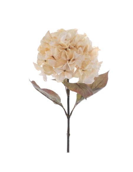 HYDRANGEA RUSTIC 70 CMS  2005-31