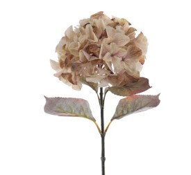 HYDRANGEA RUSTIC 70 CMS     2005-46