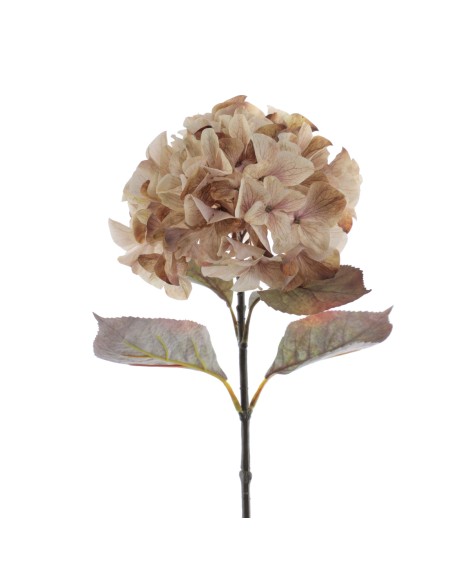 HYDRANGEA RUSTIC 70 CMS     2005-46