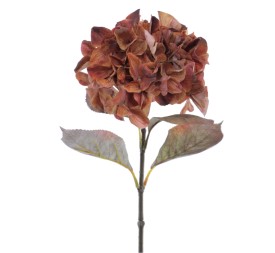 HYDRANGEA RUSTIC 70 CMS   2005-51