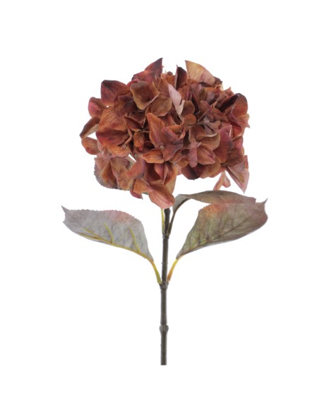 HYDRANGEA RUSTIC 70 CMS   2005-51