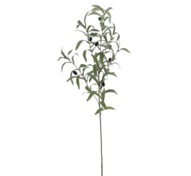 OLIVO 85 CMS (2011-09)