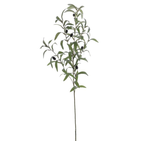 OLIVO 85 CMS (2011-09)