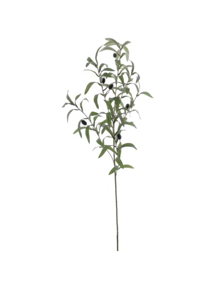 OLIVO 85 CMS (2011-09)