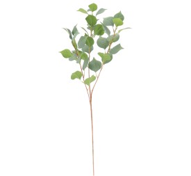 EUCALYPTUS (2078-09)
