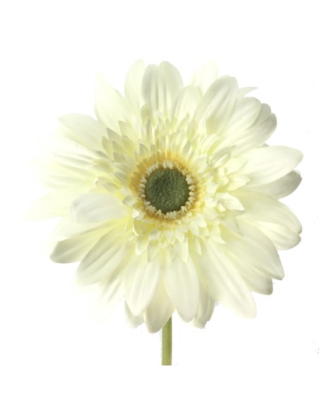GERBERA (2292-01)
