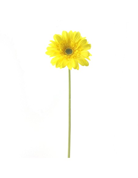 GERBERA (2292-02)