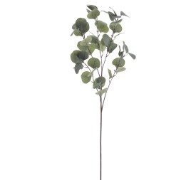 EUCALYPTUS (2320-09)