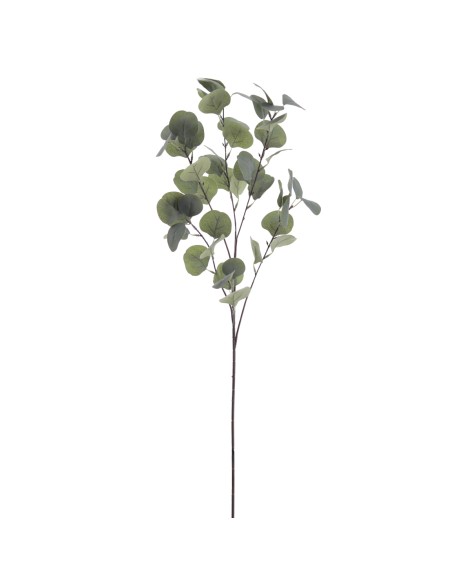 EUCALYPTUS (2320-09)